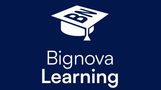 Bignova Learning